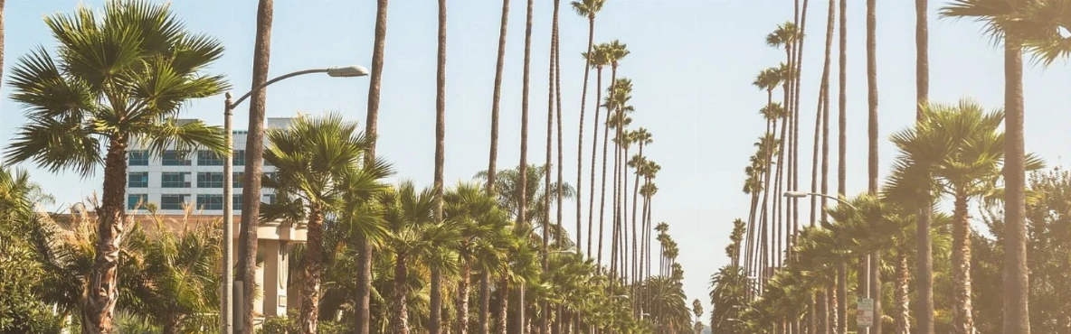 10 Best Places to Go Shopping in LA