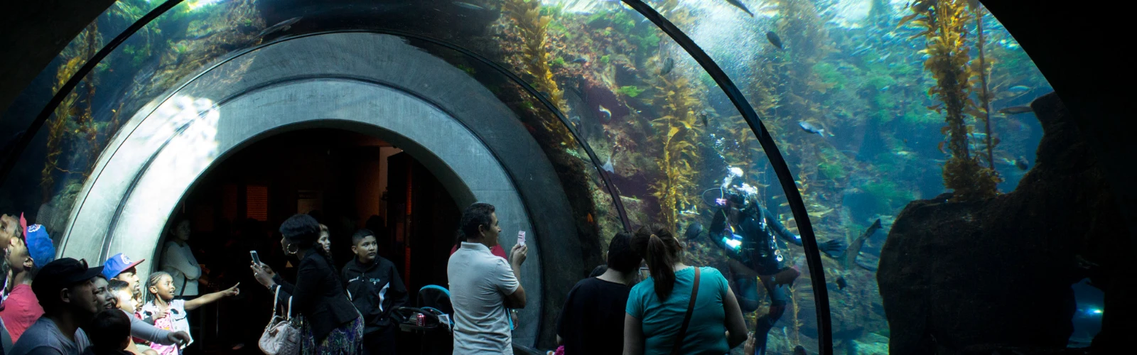 Top 20 Things to do In Los Angeles for Families