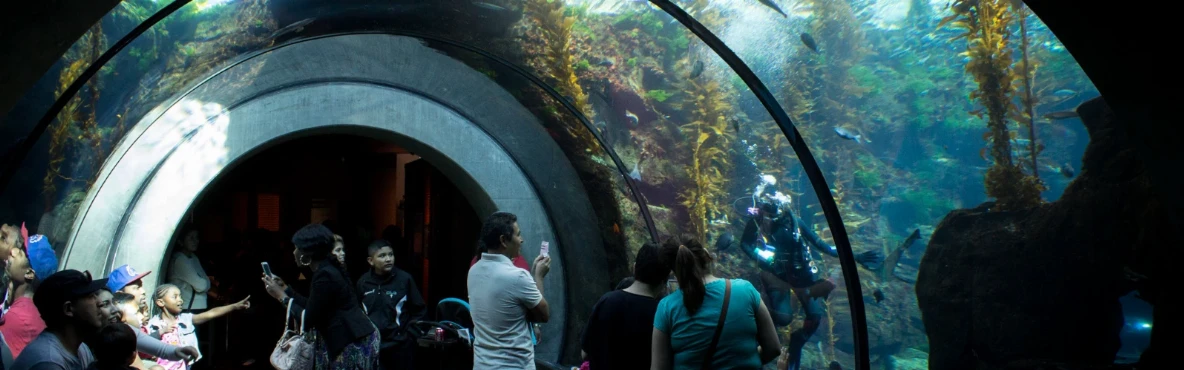 Top 20 Things to do In Los Angeles for Families