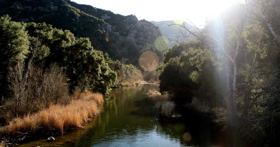 Top 20 Things to do In Los Angeles for Families