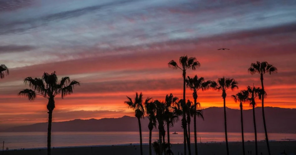 Top 20 Things to do In Los Angeles for Families